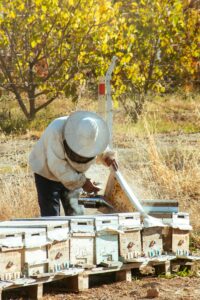 bijverdienen en belasting