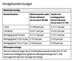 toeslagen alleenstaande ouders 2025